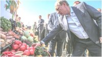 Владимир Путин посетил Семикаракорский район